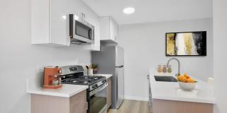 4006 Emerald St 4006 Emerald St Gallery 1