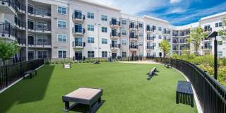 Arbuckle II Gallery 30