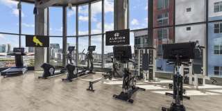 Albion in the Gulch Gallery 13