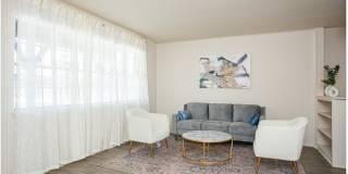 Celeste Apartments Gallery 3
