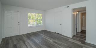 Cliff Terrace Gallery 8