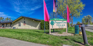 PepperTree Village Gallery 12