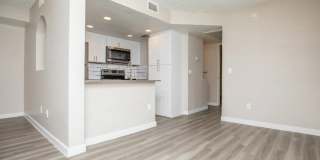 Augustine at Glendale Gallery 3