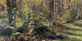 Hooksett Hollows Condominiums Gallery 24