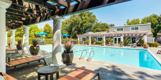 The Woodlands The Woodlands Gallery 17