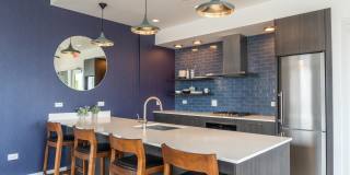 The Scholar The Scholar Gallery 4