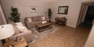 San Remy Apartments Gallery 8