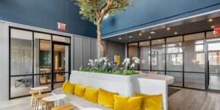 The Biltmore The Biltmore Gallery 24