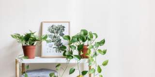 Maplecrest Apartments- Affordable housing Gallery 1