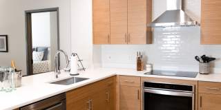 Illustrator Gallery 17