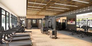 The Waylon Gallery 22