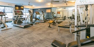 Lincoln Place Gallery 17