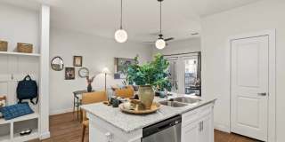 Hudson at Pecan Creek Gallery 3