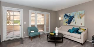 Olive Tree Gallery 9