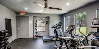 Serena Vista Gallery 10