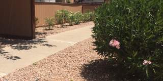 Georgetown Apartments Gallery 8