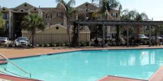 Longboat Key Gallery 16