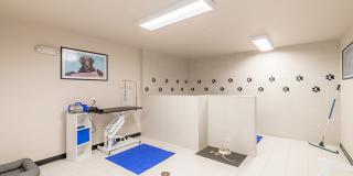 Viceroy Observatory Park Gallery 24