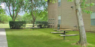 Bayou Bend Apartments Gallery 6