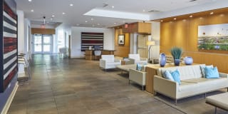 Mansion House Gallery 14