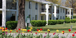 Starline Apartments Gallery 12