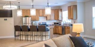 Davis Gardens Gallery 19