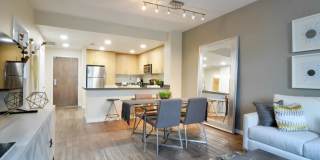 Domus on the Boulevard Gallery 6