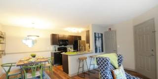 The Willows Gallery 2