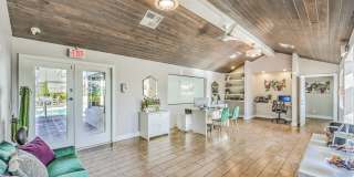 Desert Sage Gallery 44