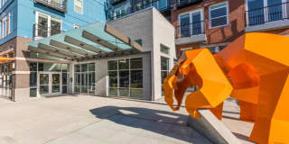 Radiate Gallery 36