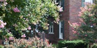 Colonial Village Apartments Gallery 18