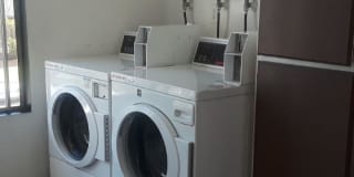 Newport Plaza Gallery 24