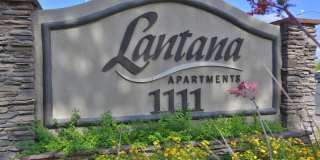 Lantana Apartments Gallery 29