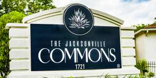 The Commons Apartments Gallery 25