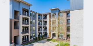 Avita Alamo Heights Gallery 29