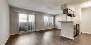 The Sophia Gallery 12