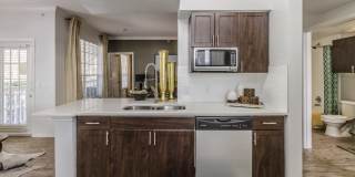 Republic  House at Frisco Bridges Gallery 1