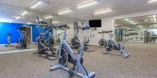 Hampton Place Luxury Apartment Gallery 14