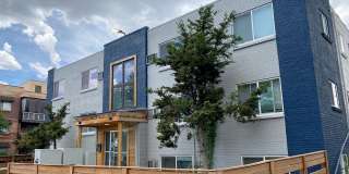 Silverleaf Gallery 11