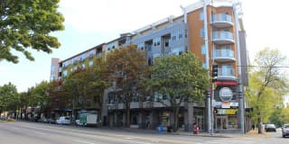 City North Gallery 32