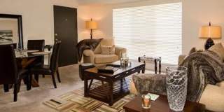 Dresden Forest Gallery 6