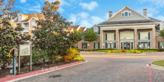 Luxe at Katy Gallery 89