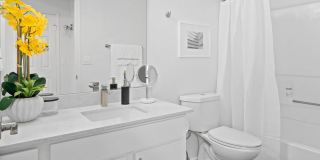 Soleil Apartments Gallery 13