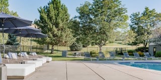 Kallisto at Bear Creek Gallery 26