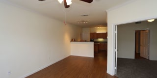 Oxford at Sonterra Gallery 29