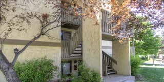 Elmwood Gallery 4