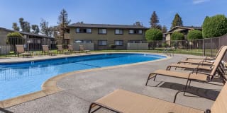 Saddleback Ranch Gallery 11