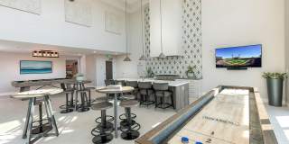 Orion Gallery 20