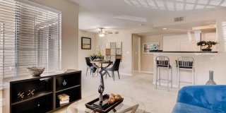 Chestnut Ridge Gallery 1