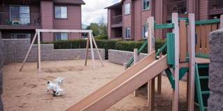 Pines at Prescott Gallery 2